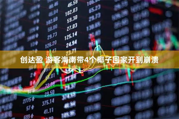 创达盈 游客海南带4个椰子回家开到崩溃